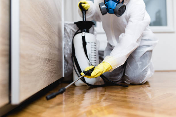 Best Flea Control Services  in Level Green, PA