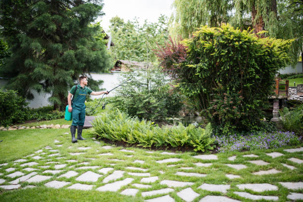 Reliable Level Green, PA Pest Control Solutions