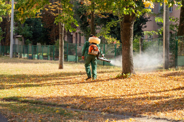 Best Mosquito Control Services  in Level Green, PA