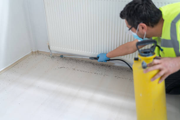 Pest Control Cost in Level Green, PA